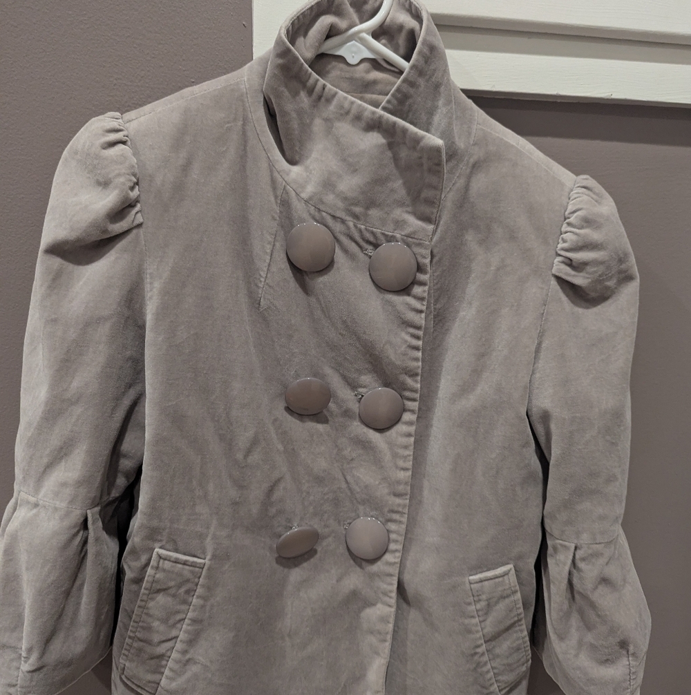 Gray Velvet Blazer